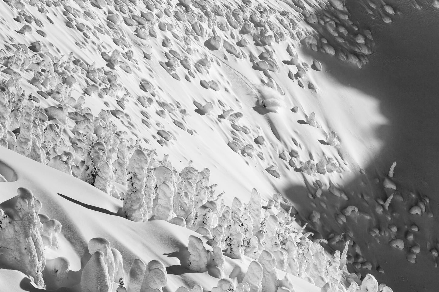 Fine art print of a snowboarder riding a line in Whistler Blackcomb backcountry by Jussi Grznar - winter landscape