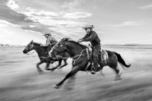 Wild Horses 01, Wyoming, USA - Fine Art Print
